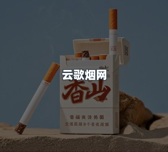 关于云歌烟网
